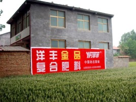 得荣如何让墙体广告展现最大化效果