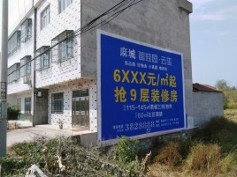 得荣墙体广告质量分析