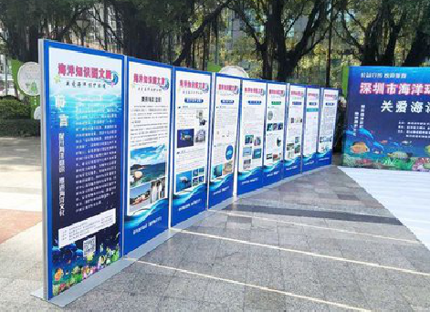 得荣KT板的种类和知识。